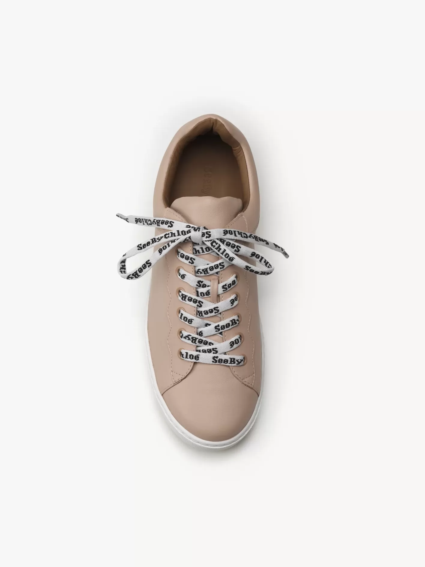 Shop Chloé Essie Sneaker