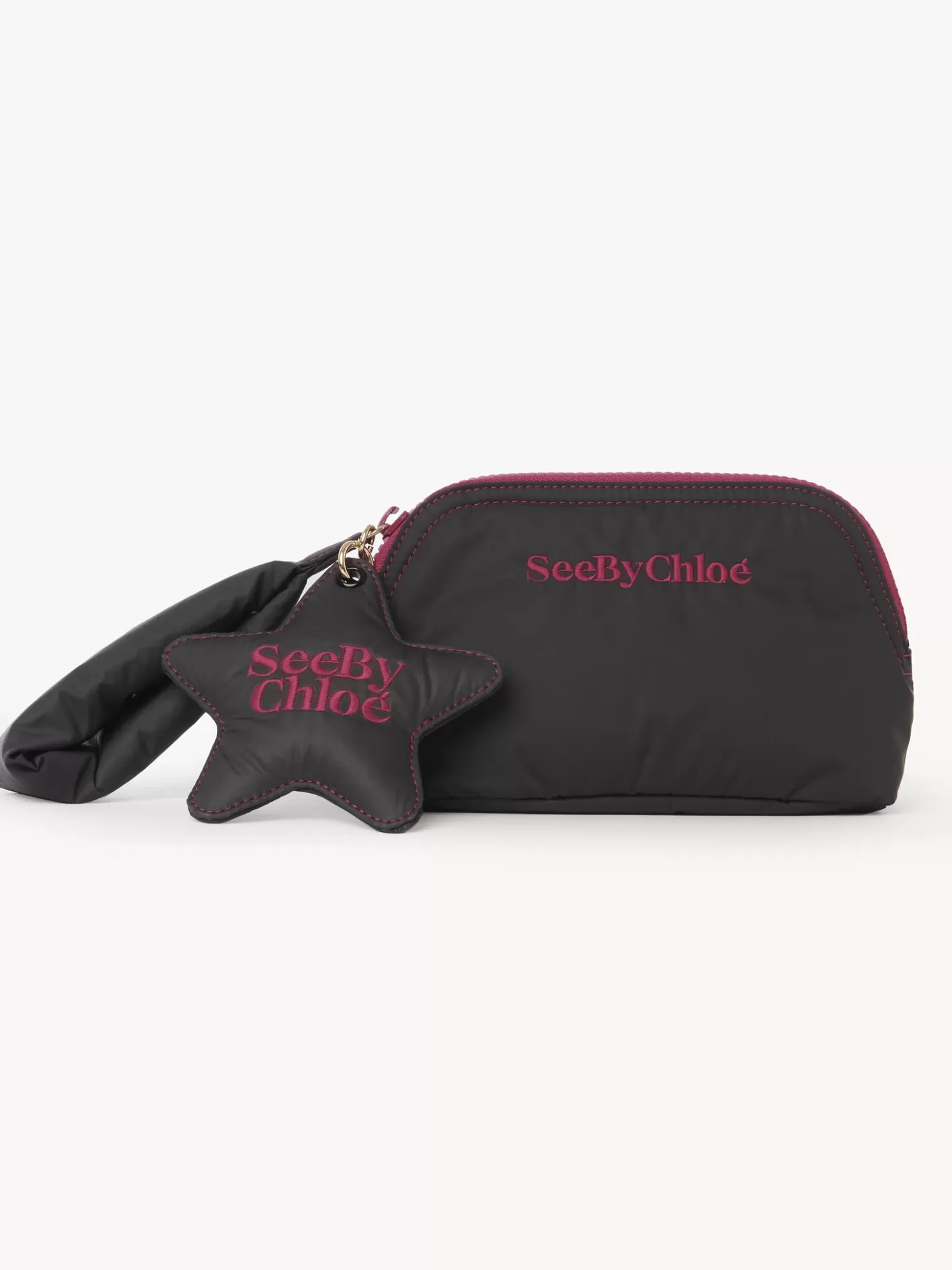 Shop Chloé Joy Rider Travel Pouch