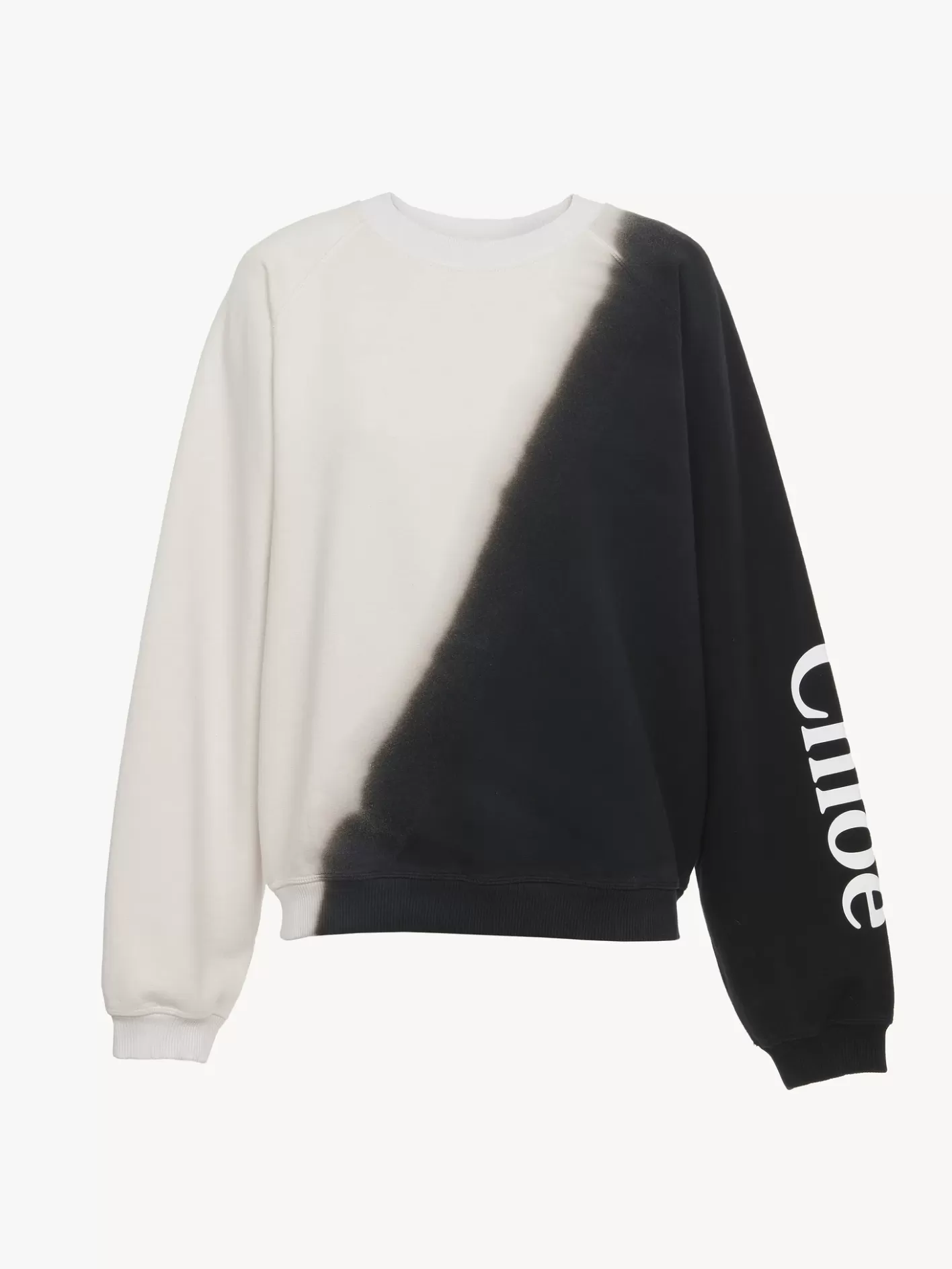 Online Chloé Printed Jumper