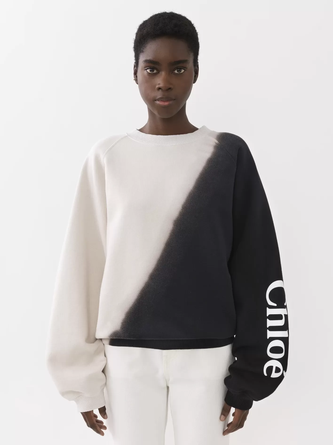 Online Chloé Printed Jumper