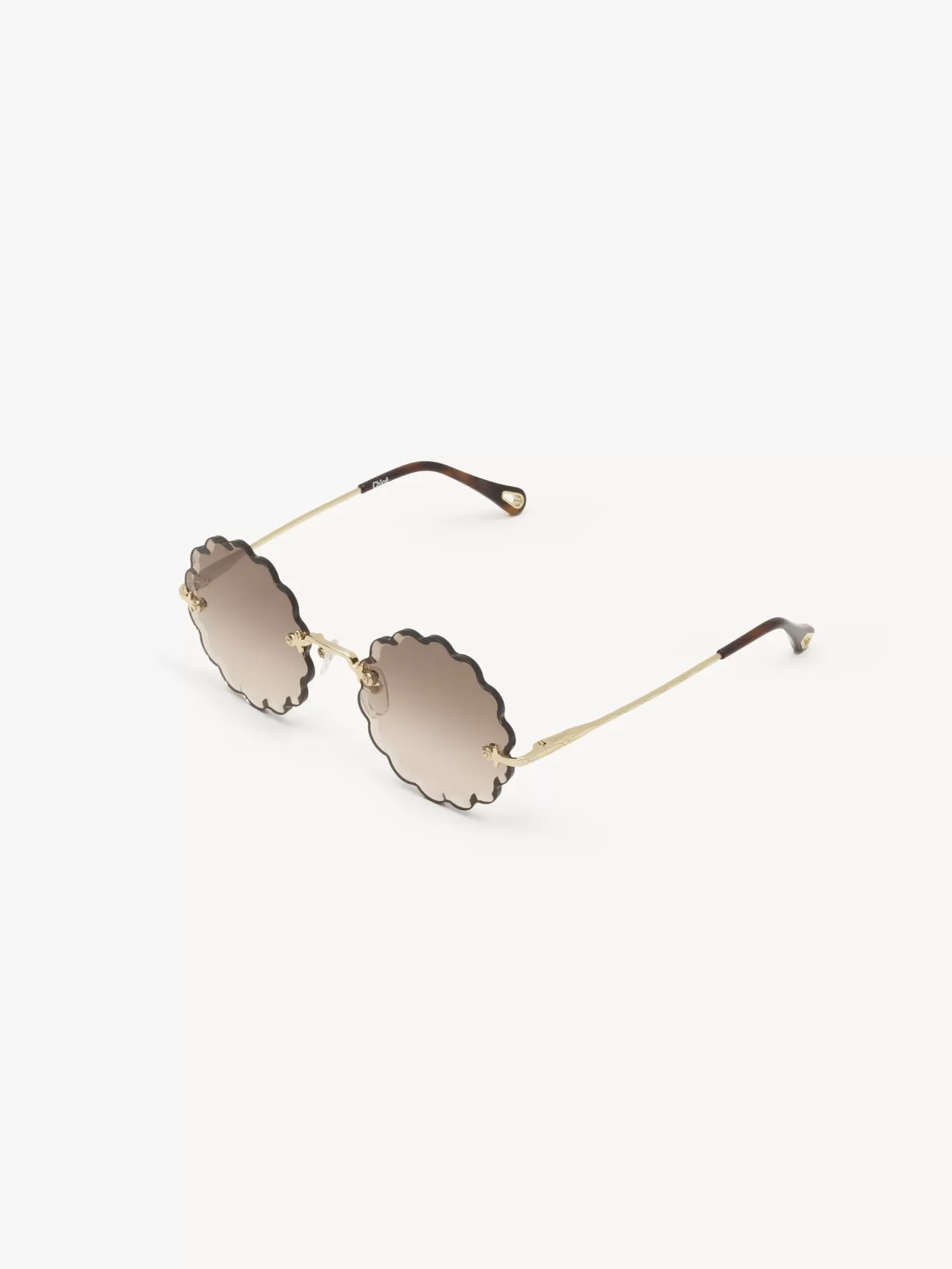 Outlet Chloé Rosie Petite Sunglasses